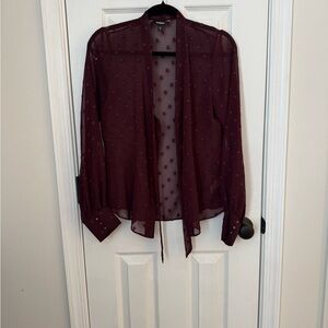 Express Sheer Plum Blouse
